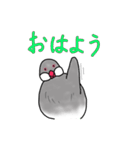 文鳥スタンプ むすちゃんだよ Vol.2（個別スタンプ：5）