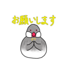 文鳥スタンプ むすちゃんだよ Vol.2（個別スタンプ：7）