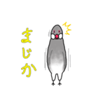 文鳥スタンプ むすちゃんだよ Vol.2（個別スタンプ：14）