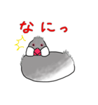 文鳥スタンプ むすちゃんだよ Vol.2（個別スタンプ：15）