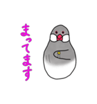 文鳥スタンプ むすちゃんだよ Vol.2（個別スタンプ：17）