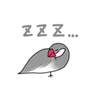 文鳥スタンプ むすちゃんだよ Vol.2（個別スタンプ：18）