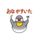 文鳥スタンプ むすちゃんだよ Vol.2（個別スタンプ：19）