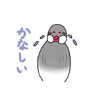 文鳥スタンプ むすちゃんだよ Vol.2（個別スタンプ：20）