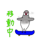 文鳥スタンプ むすちゃんだよ Vol.2（個別スタンプ：32）