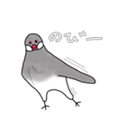 文鳥スタンプ むすちゃんだよ Vol.2（個別スタンプ：38）