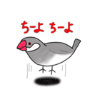 文鳥スタンプ むすちゃんだよ Vol.2（個別スタンプ：40）