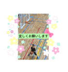 ☆うたはるスタンプ☆ バスケVer.（個別スタンプ：27）