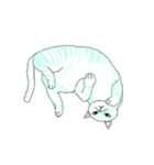 色猫スタンプ（個別スタンプ：5）