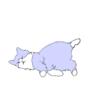 色猫スタンプ（個別スタンプ：16）