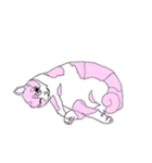 色猫スタンプ（個別スタンプ：17）