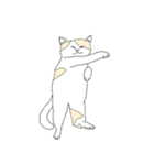 色猫スタンプ（個別スタンプ：19）