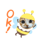 山ちゃんの可愛い猫（個別スタンプ：8）