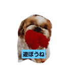 永遠に一緒だよ（個別スタンプ：4）