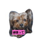 永遠に一緒だよ（個別スタンプ：5）
