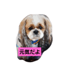 永遠に一緒だよ（個別スタンプ：6）