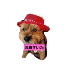 永遠に一緒だよ（個別スタンプ：7）
