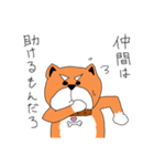 【第一弾】しばKEN（個別スタンプ：5）