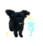 おまめくん②（個別スタンプ：4）