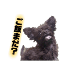 おまめくん②（個別スタンプ：9）
