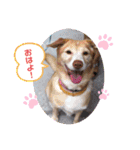 ❤ちゃな❤（個別スタンプ：1）