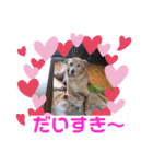 ❤ちゃな❤（個別スタンプ：4）