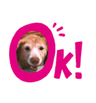 ❤ちゃな❤（個別スタンプ：5）