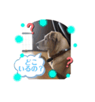 ❤ちゃな❤（個別スタンプ：9）