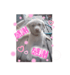 ❤ちゃな❤（個別スタンプ：10）
