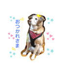 ❤ちゃな❤（個別スタンプ：11）