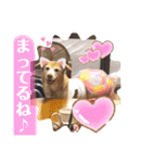❤ちゃな❤（個別スタンプ：12）