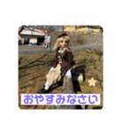 椎茸の妖精どん子（個別スタンプ：9）