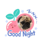 pugあずきちゃん（個別スタンプ：6）