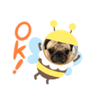 pugあずきちゃん（個別スタンプ：7）