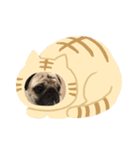 pugあずきちゃん（個別スタンプ：8）