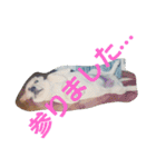 必要な言葉達(Pretty labrador)（個別スタンプ：6）