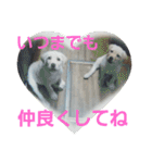 必要な言葉達(Pretty labrador)（個別スタンプ：18）