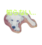 必要な言葉達(Pretty labrador)（個別スタンプ：20）