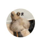 a              g               u（個別スタンプ：2）