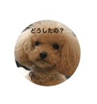 a              g               u（個別スタンプ：10）