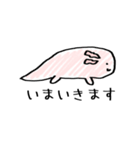 丁寧なウーパールーパー（個別スタンプ：12）