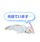 どんちゃんがどーんスタンプ（個別スタンプ：11）