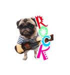 パグ犬 おさむのAWESOMEスタンプ（個別スタンプ：15）