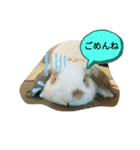 うさりおスタンプ（個別スタンプ：8）