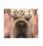 フレブルのぜん君(関西弁ver.)（個別スタンプ：6）