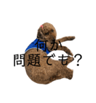 トイプードル T まる（個別スタンプ：24）