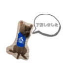 トイプードル T まる（個別スタンプ：40）