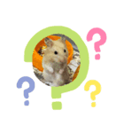 私のミッキー（個別スタンプ：2）