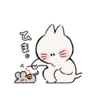 しろねこちびちゃん（個別スタンプ：24）