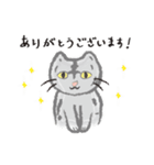 なにのむ？ねこ（個別スタンプ：5）